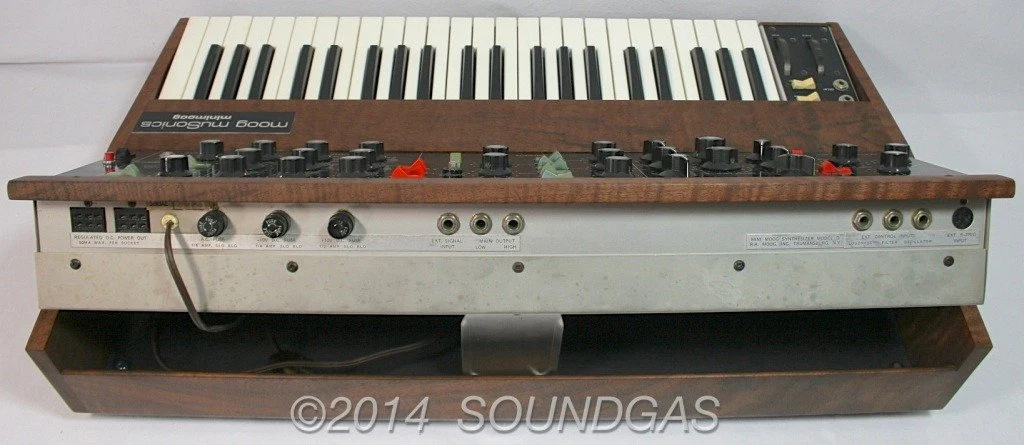 Musonics Minimoog Model D - 1971 - Image 3