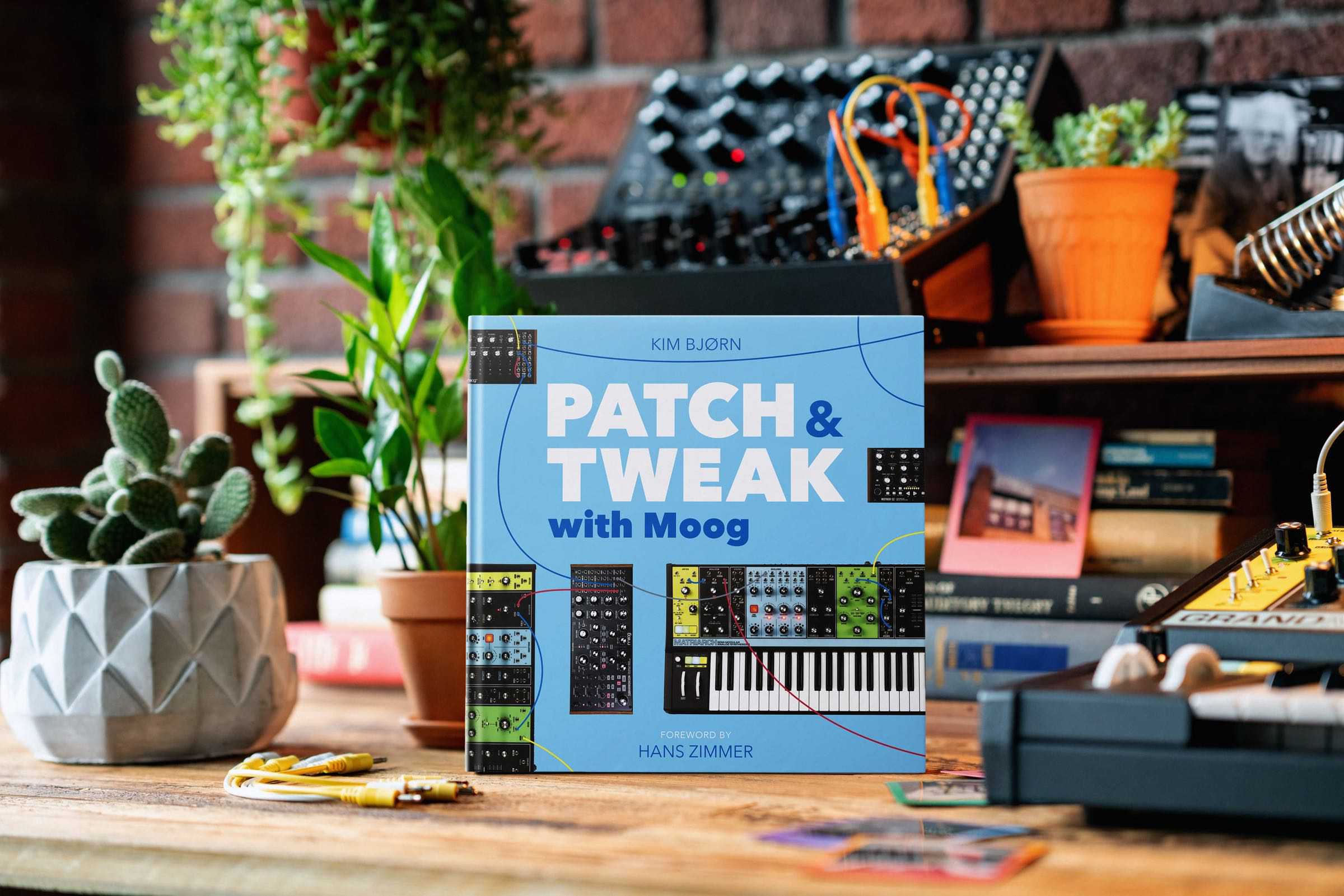 Bjooks Patch and Tweak with Moog - Image 3