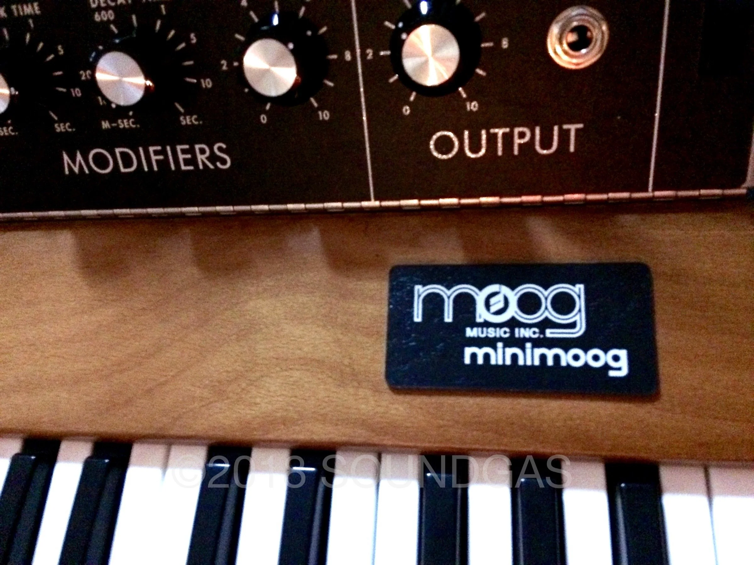 Moog MiniMoog Model D Reissue - Image 8