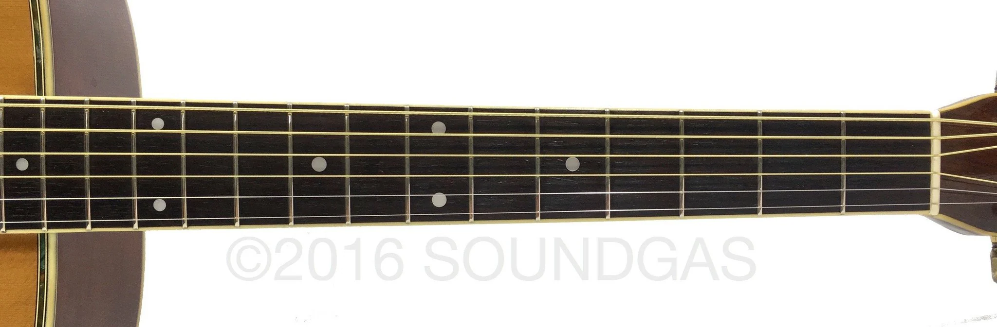 Morris MD-515 Japanese Acoustic (1970s) - Image 4
