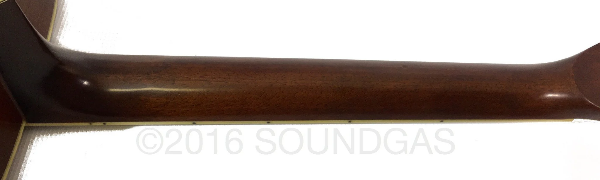 Morris MD-515 Japanese Acoustic (1970s) - Image 7