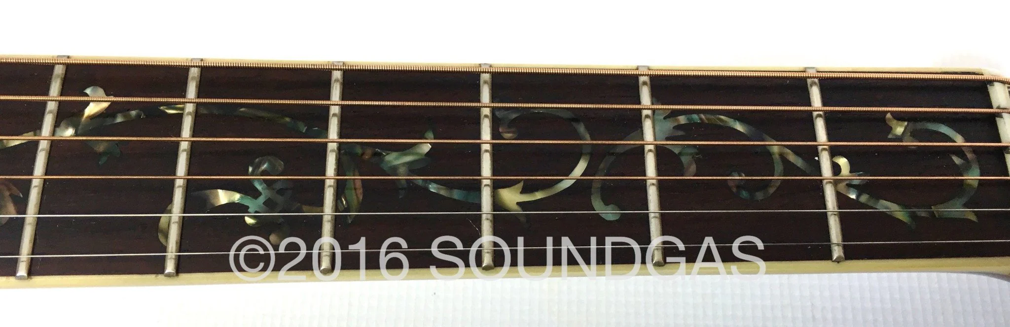 Morris W65M 'Tree Of Life' Acoustic Guitar - Image 12
