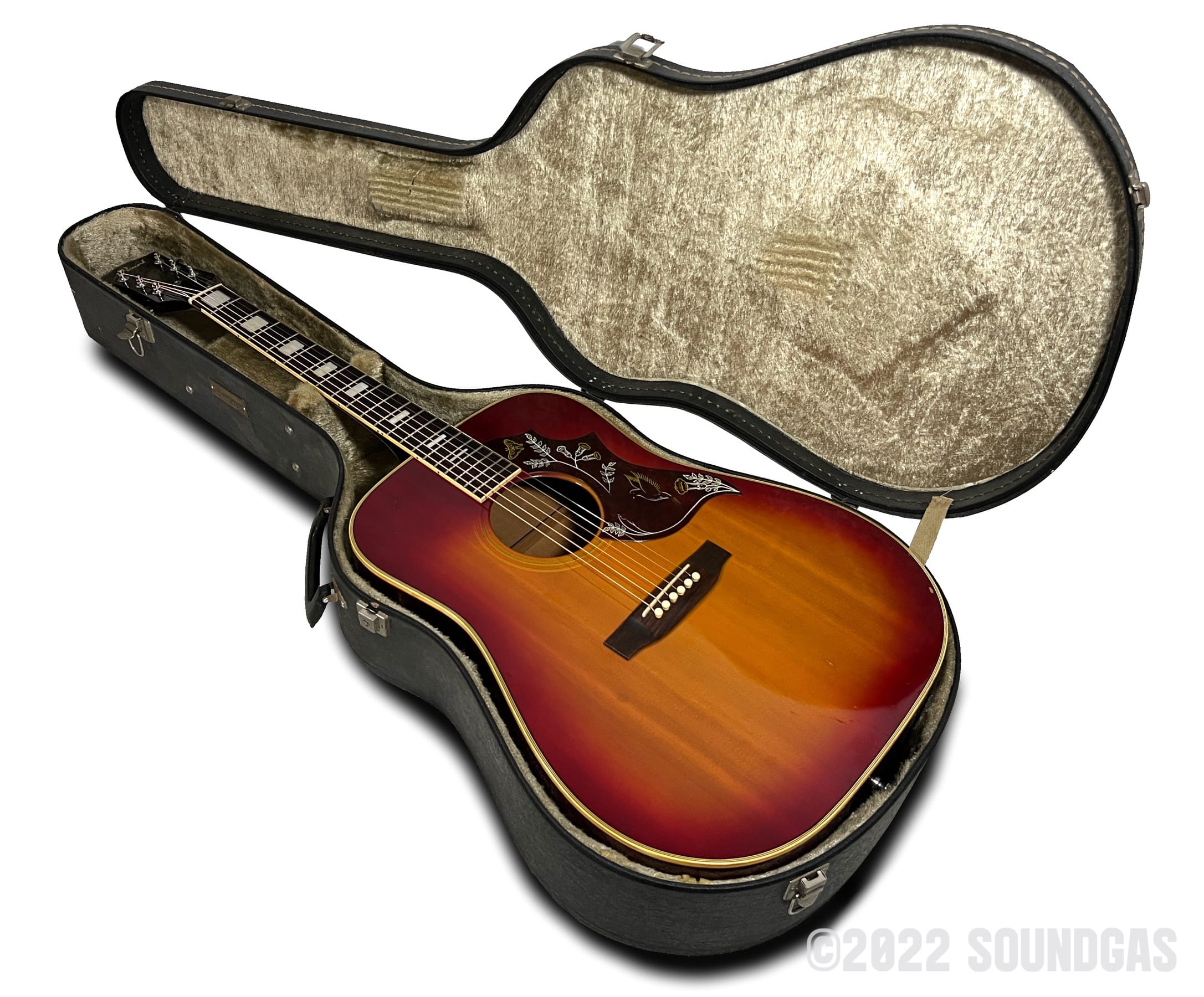 Pearl Hummingbird - Image 11