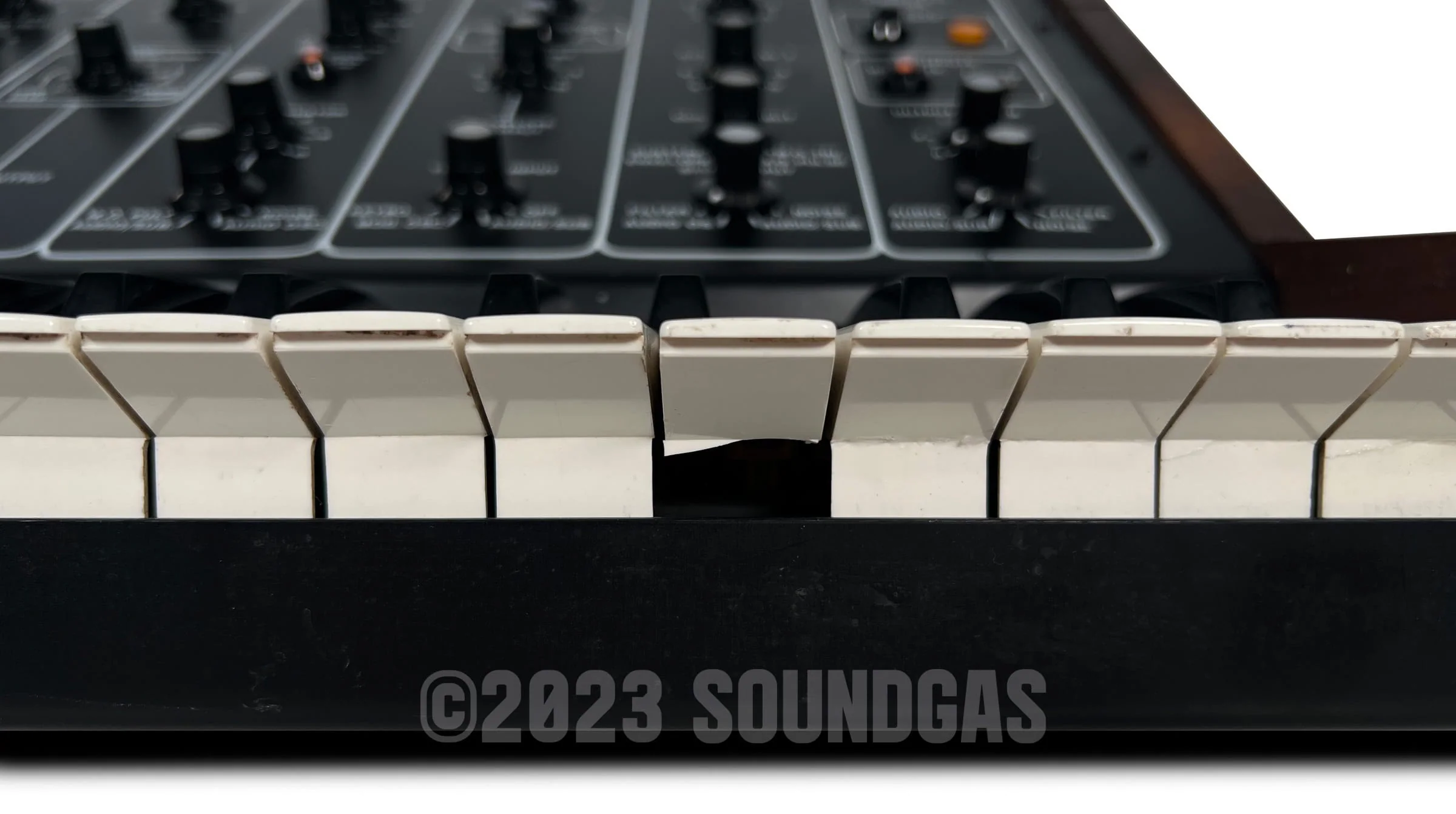 PPG Synthesizer 1002 - Image 9