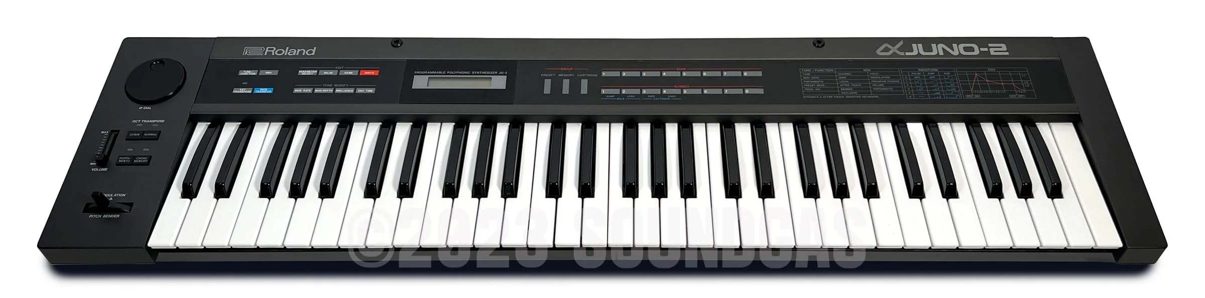 Roland Alpha Juno 2 & DTronics DT-300 - Image 2