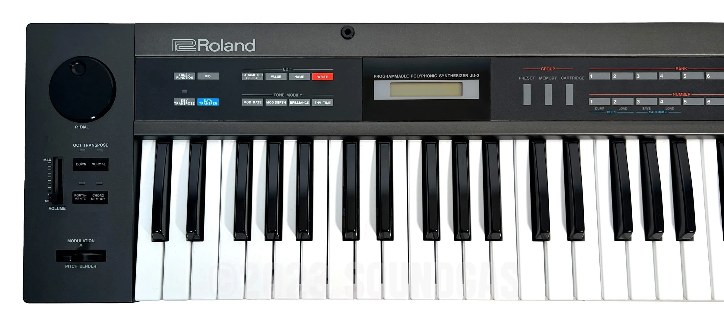 Roland Alpha Juno 2 & DTronics DT-300 - Image 4