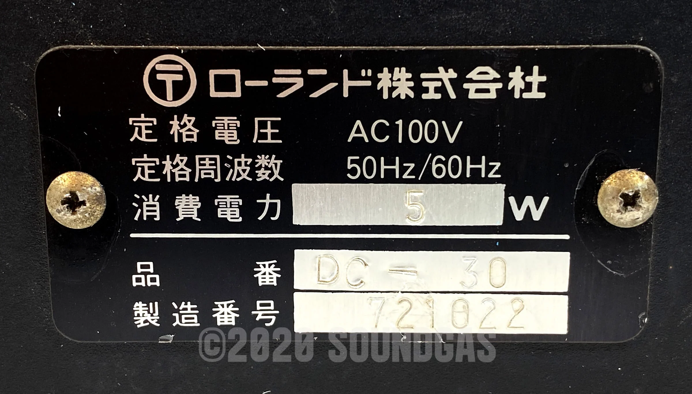 Roland DC-30 Chorus Echo (Boss DM-300) - Image 6