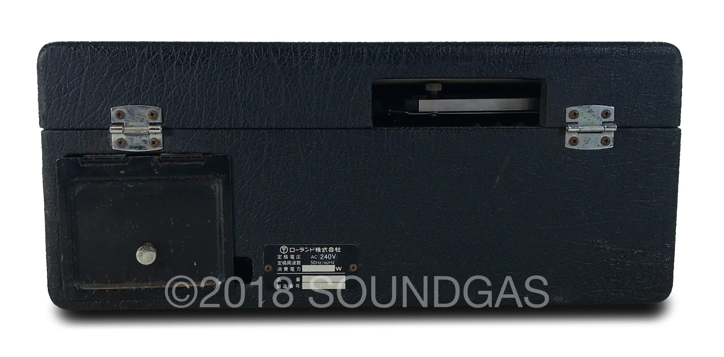 Roland RE-101 Space Echo - Image 5