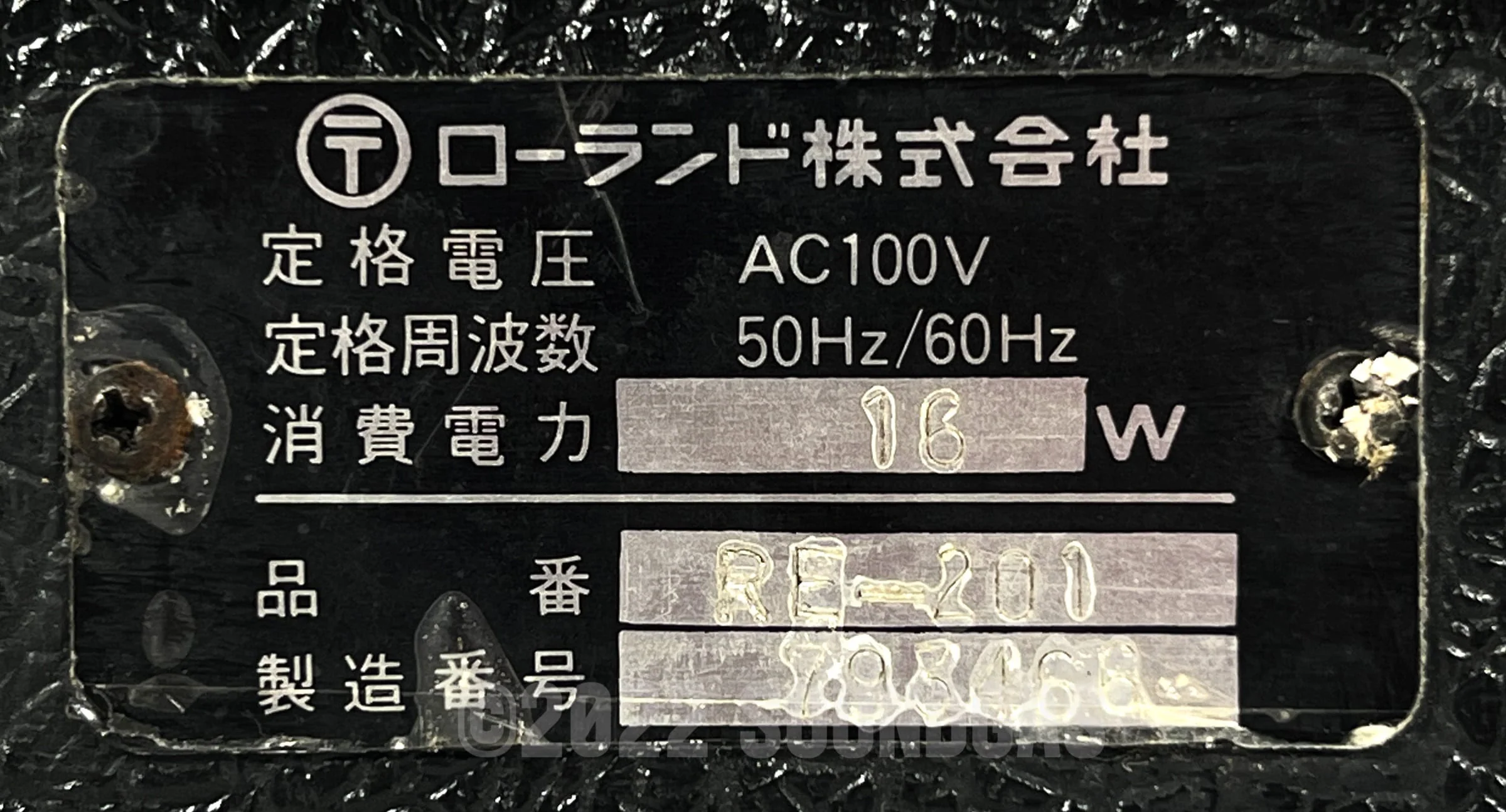 Roland RE-201 Space Echo - Image 6
