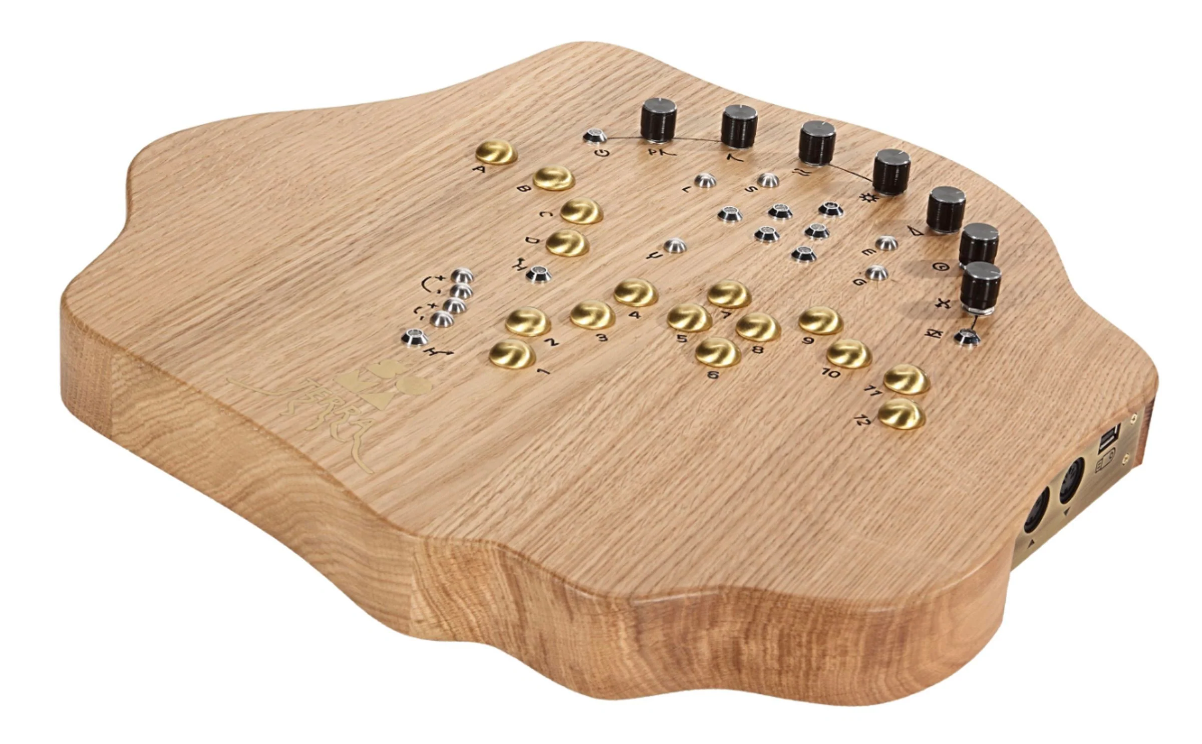 Soma Terra Organic Synthesizer - Image 9