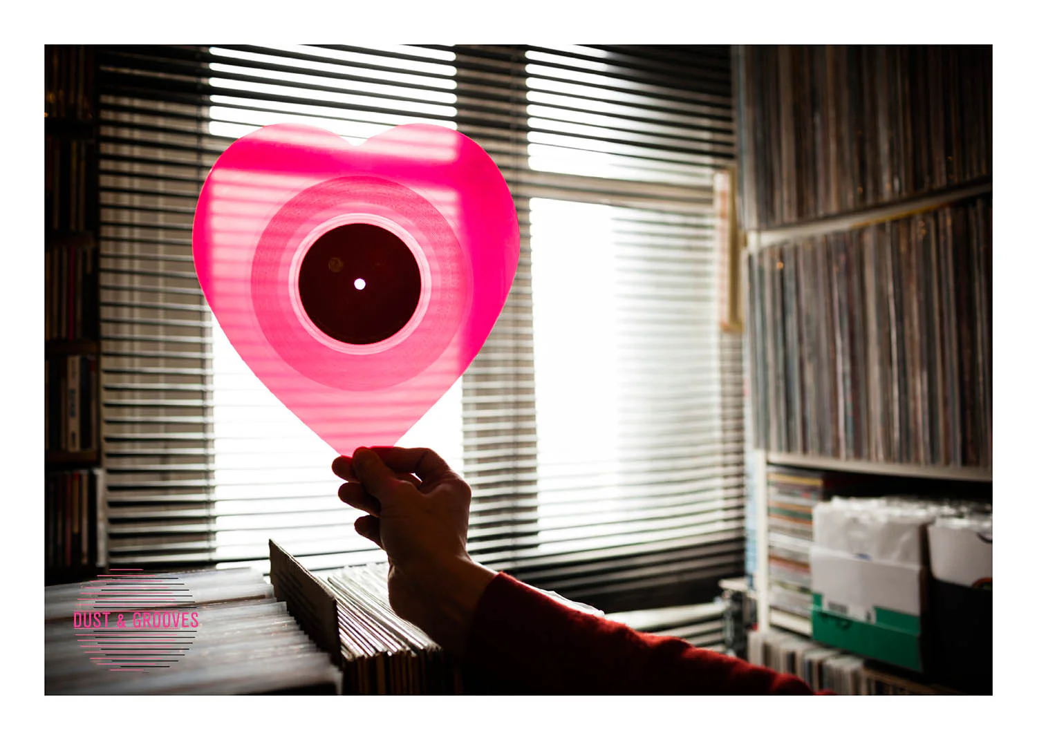 Dust & Grooves: Adventures in Record Collecting (Limited Second Edition) - Image 10