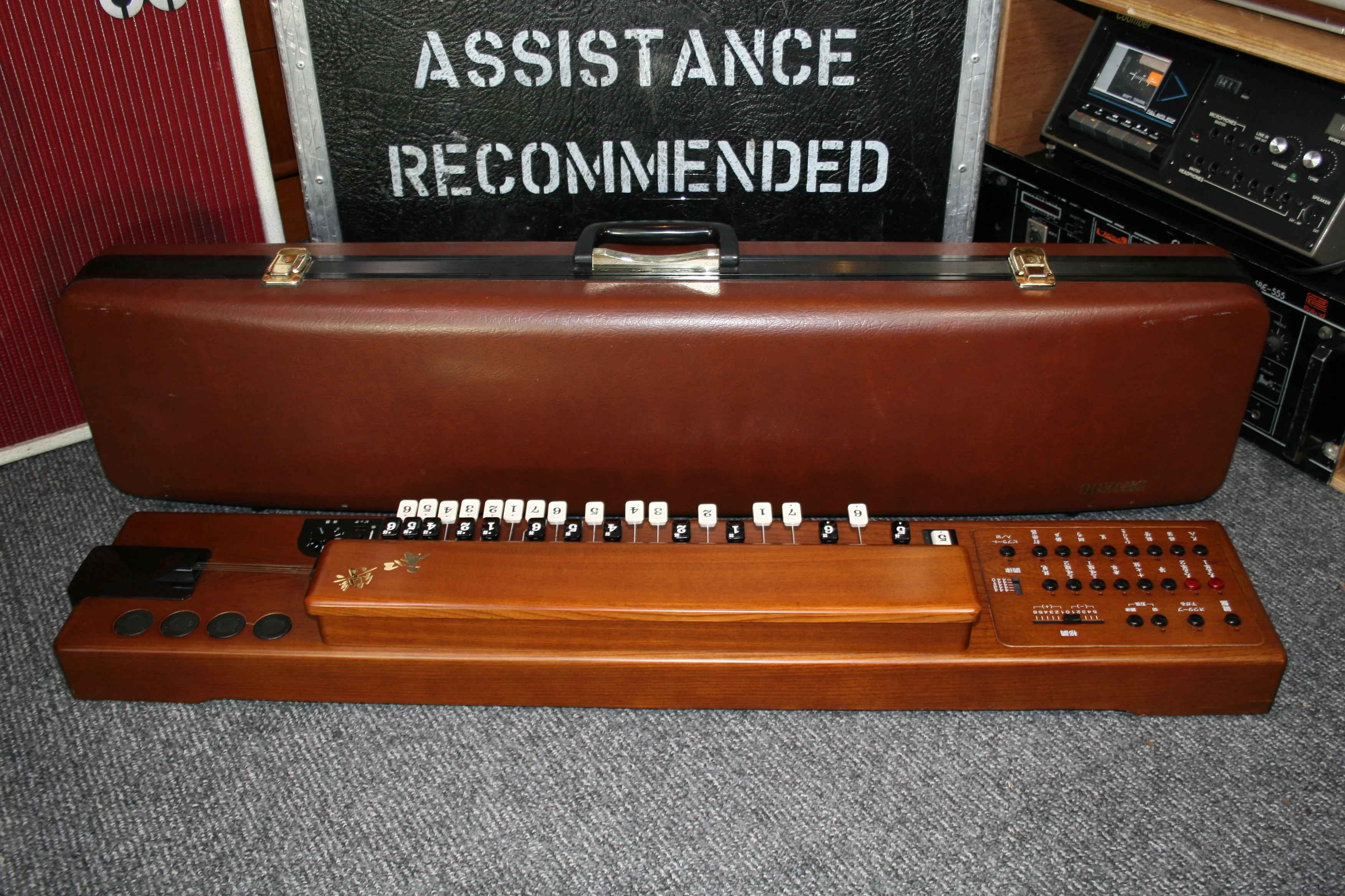 Suzuki TES-100 Waraku Koto Synth - Image 6