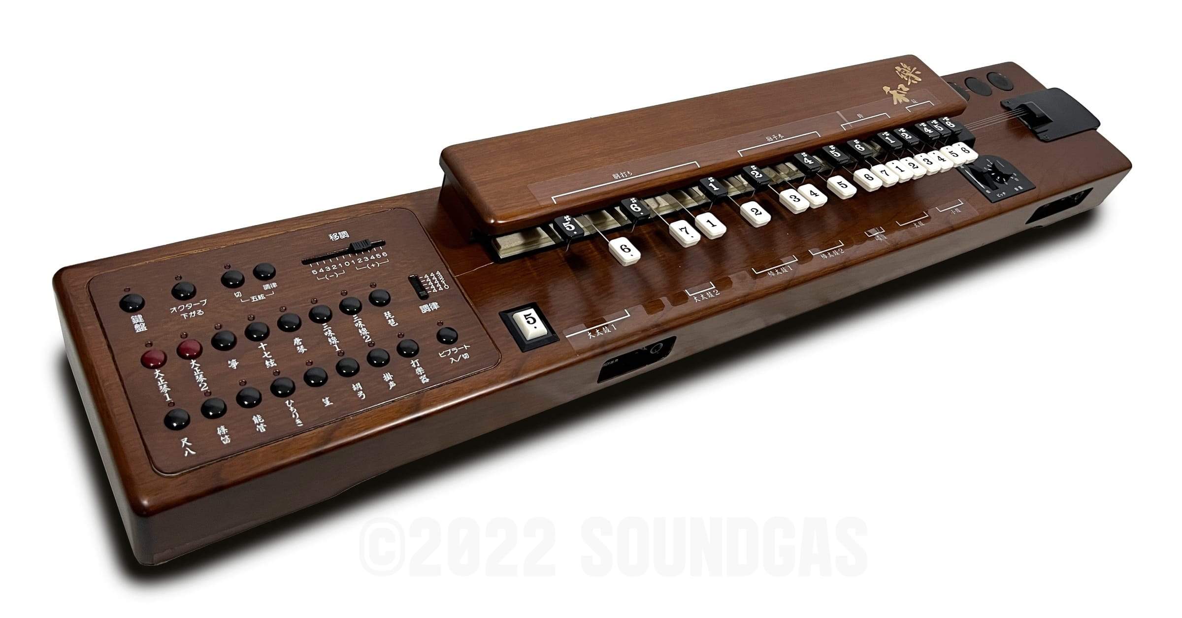 Suzuki TES-100 Waraku Koto Synth - Image 5