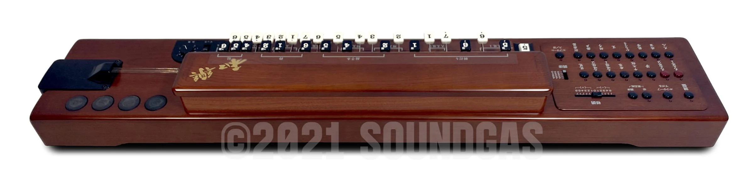 Suzuki TES-101 Waraku Koto Synth - Image 10