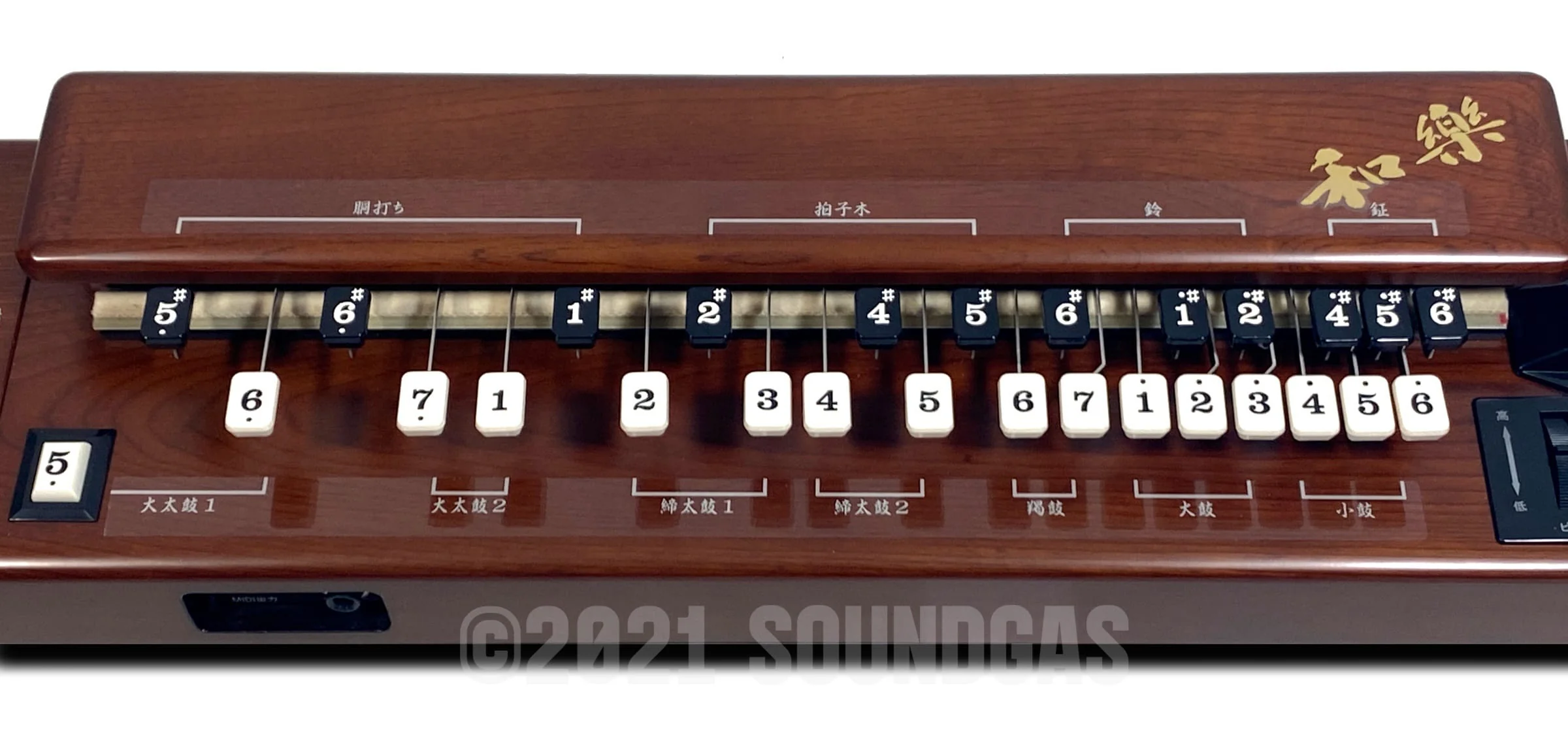 Suzuki TES-101 Waraku Koto Synth - Image 5