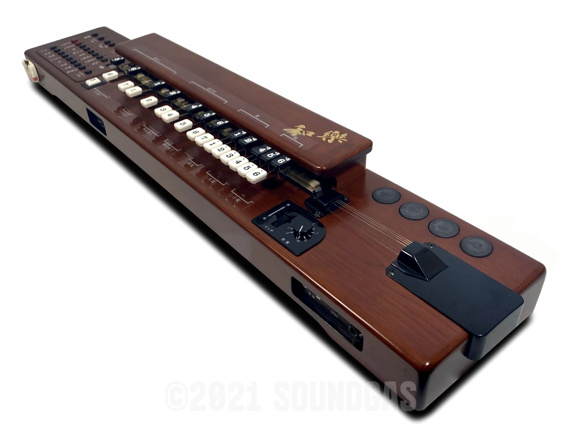Suzuki TES-101 Waraku Koto Synth - Image 7