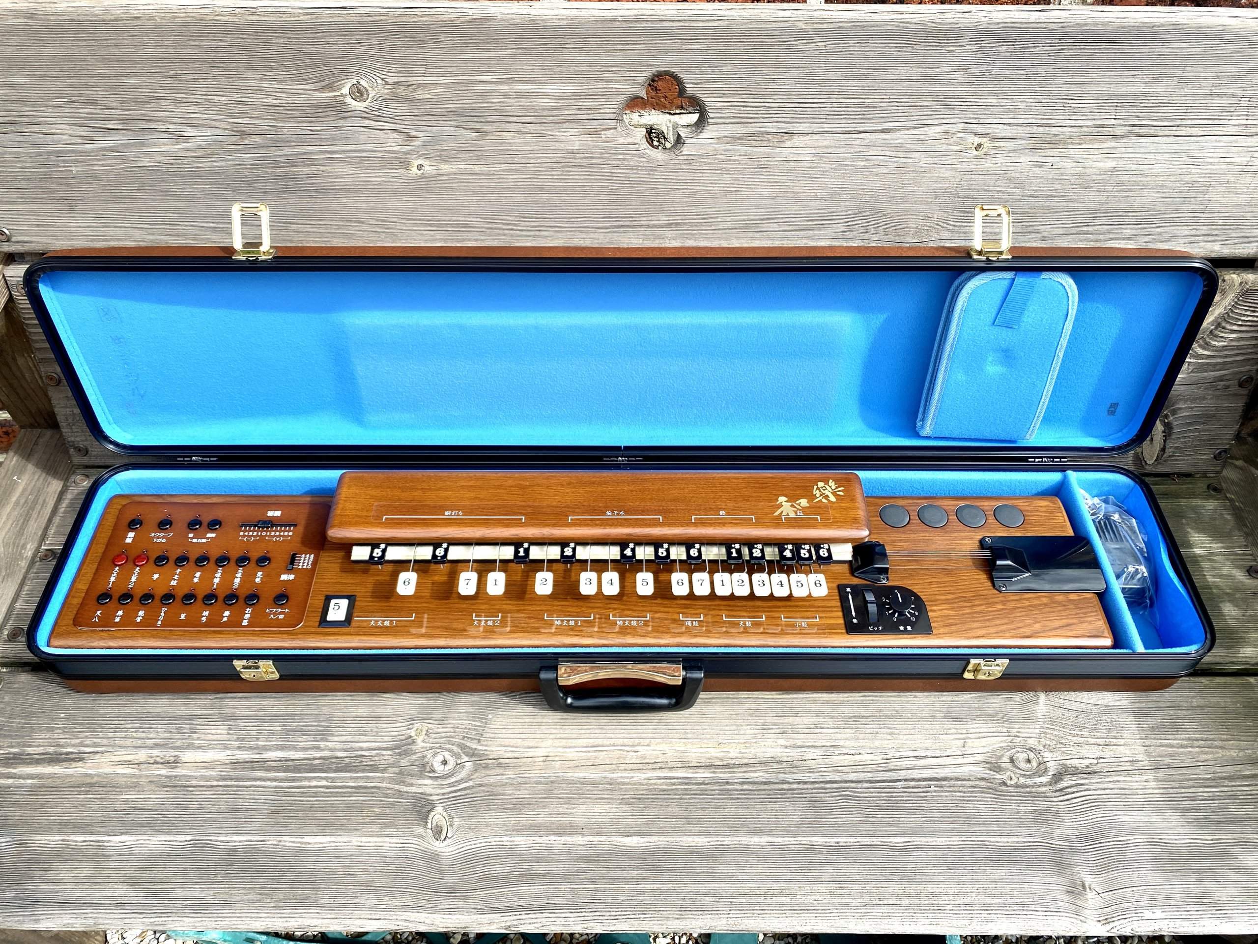 Suzuki TES-101 Waraku Koto Synth (Mint) - Image 4