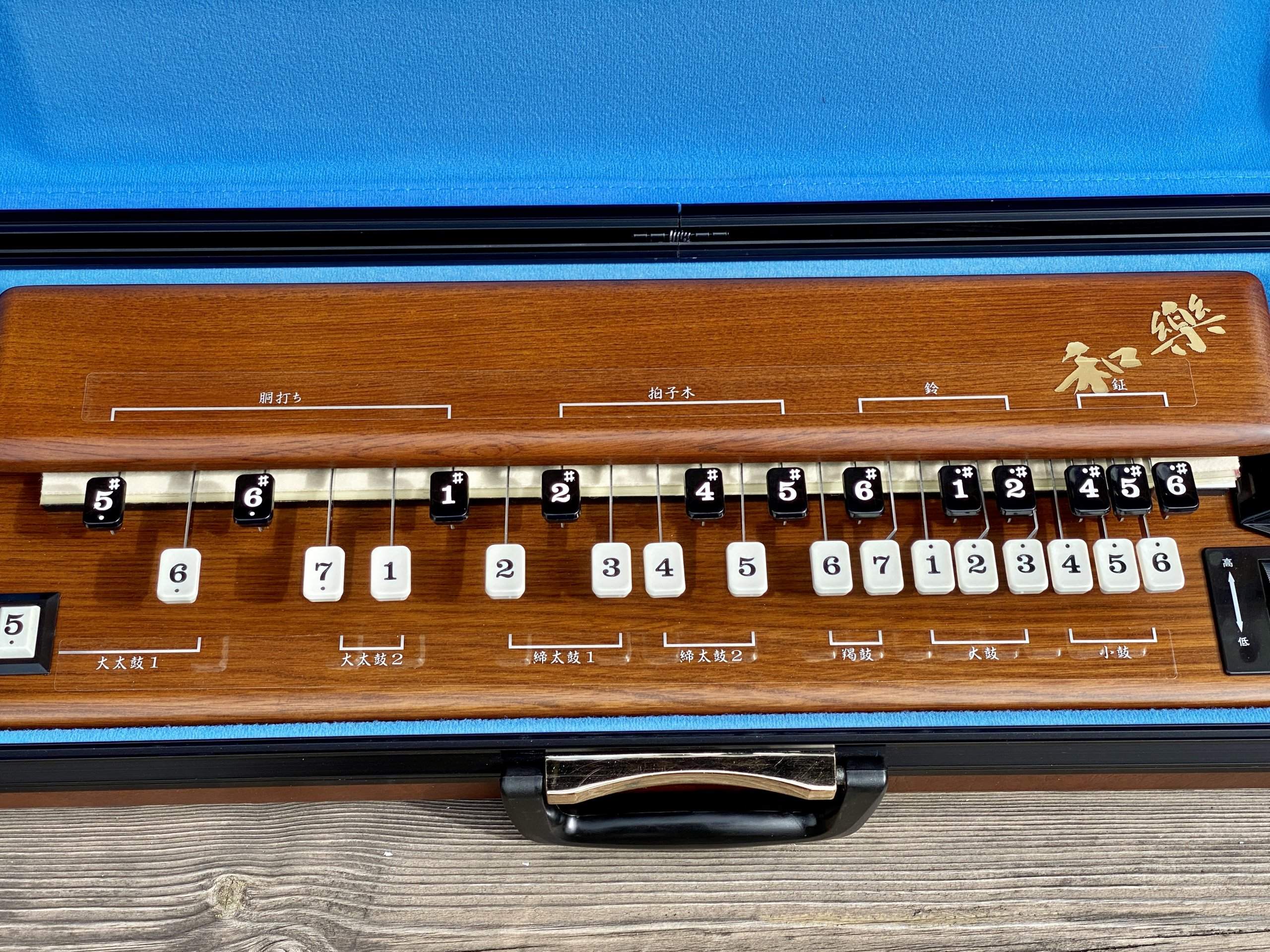 Suzuki TES-101 Waraku Koto Synth (Mint) - Image 6
