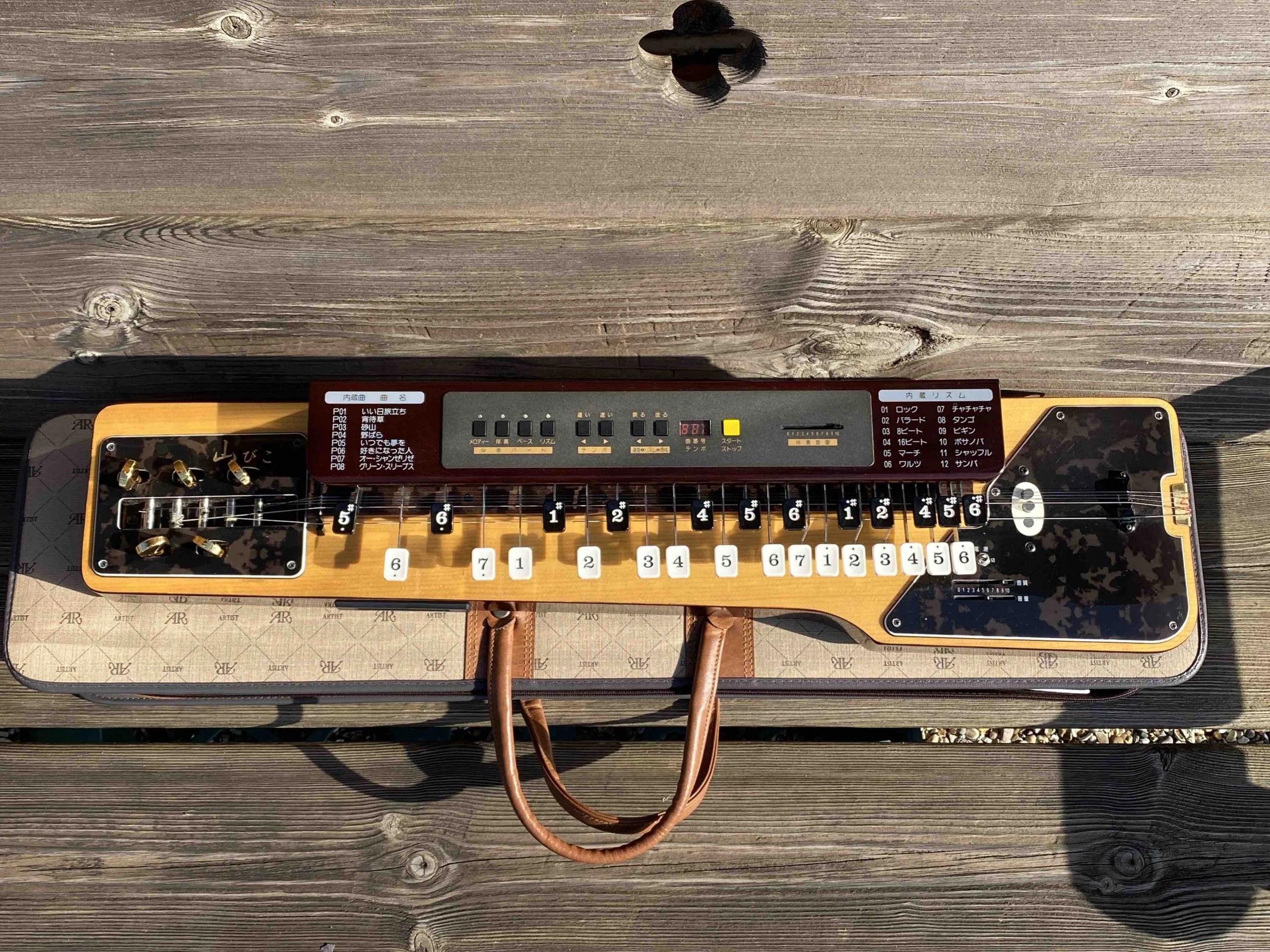 Suzuki TES-150 Electric Taishogoto & Rhythm Machine - Image 11