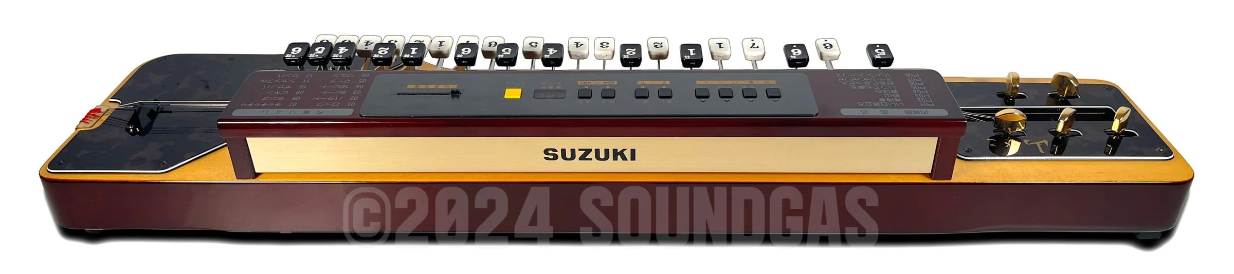 Suzuki TES-150 Electric Taishogoto - Image 6