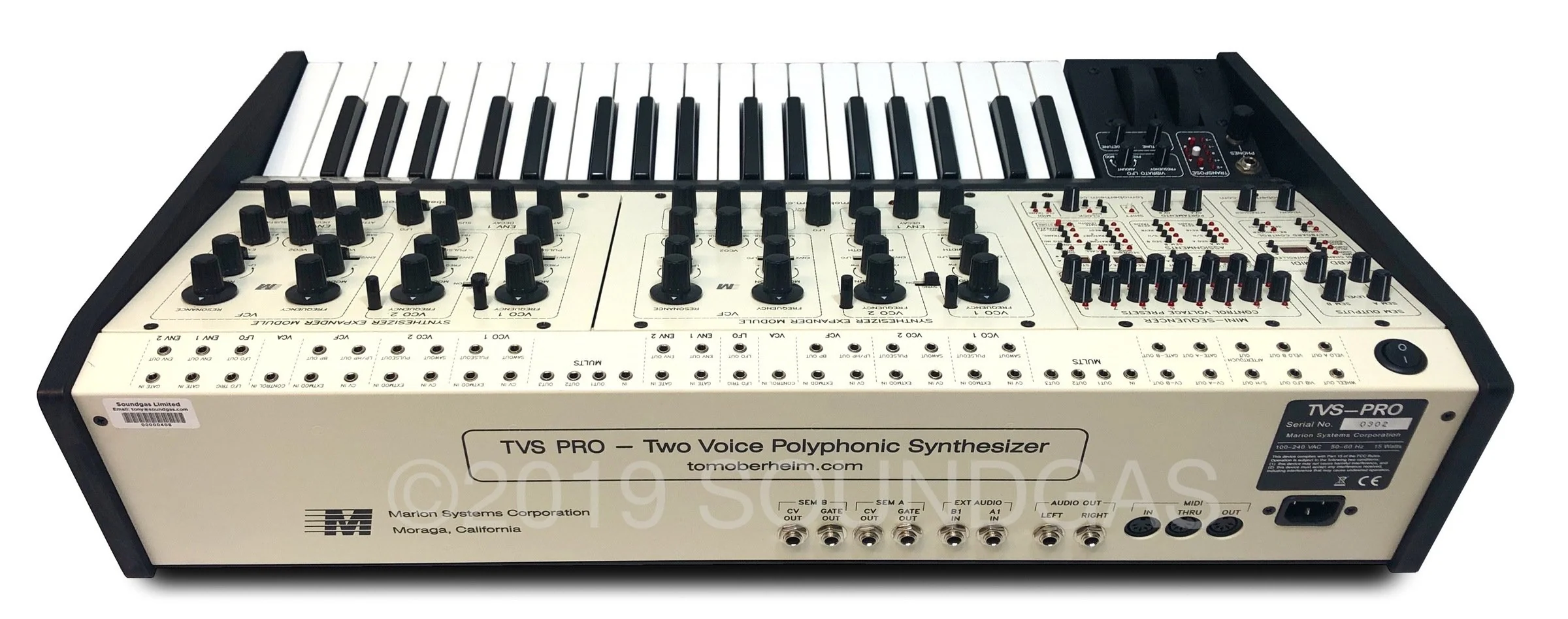 Tom Oberheim TVS (Two Voice) Pro - Image 6