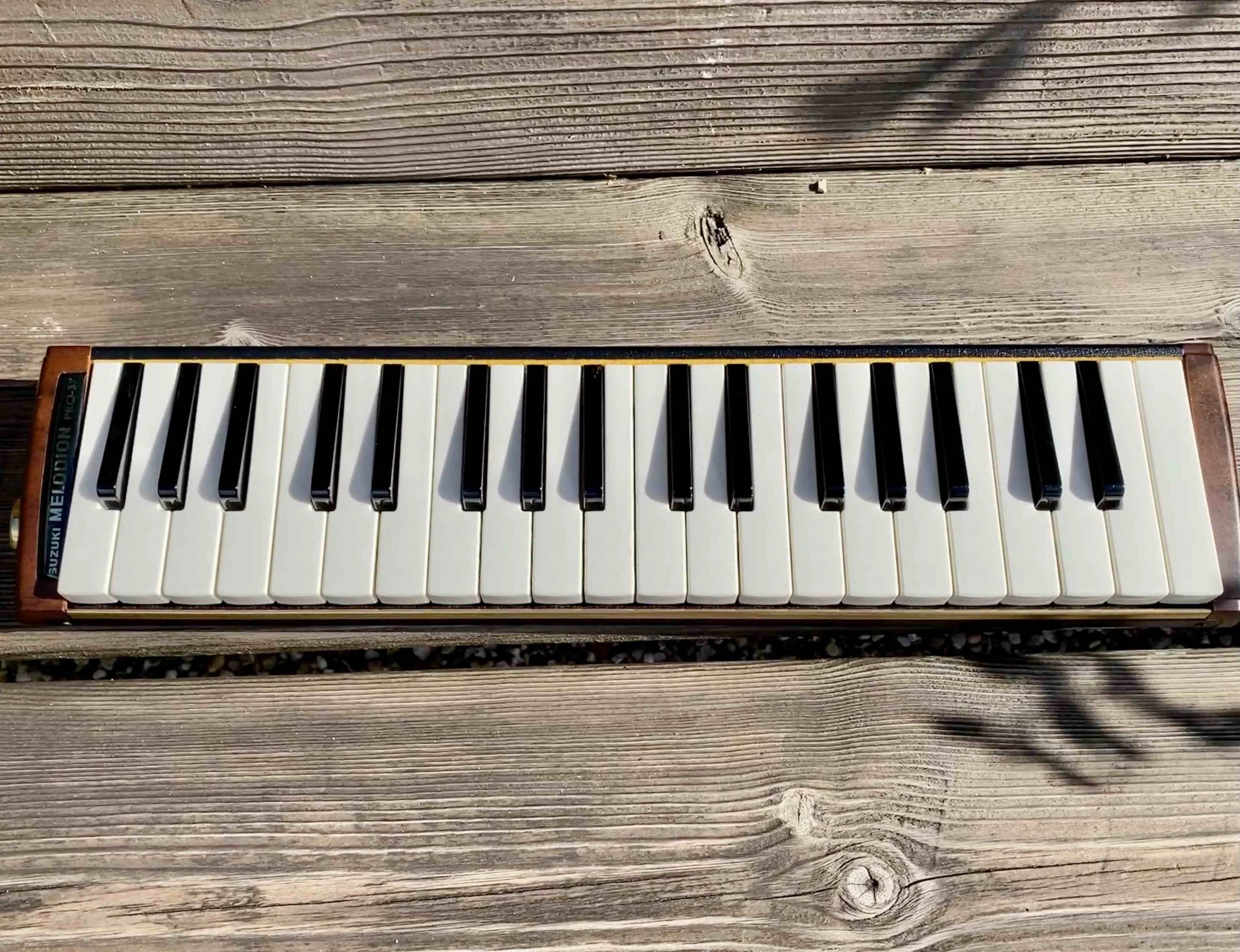 Toy Store: Suzuki Melodian Pro-37 - Image 4