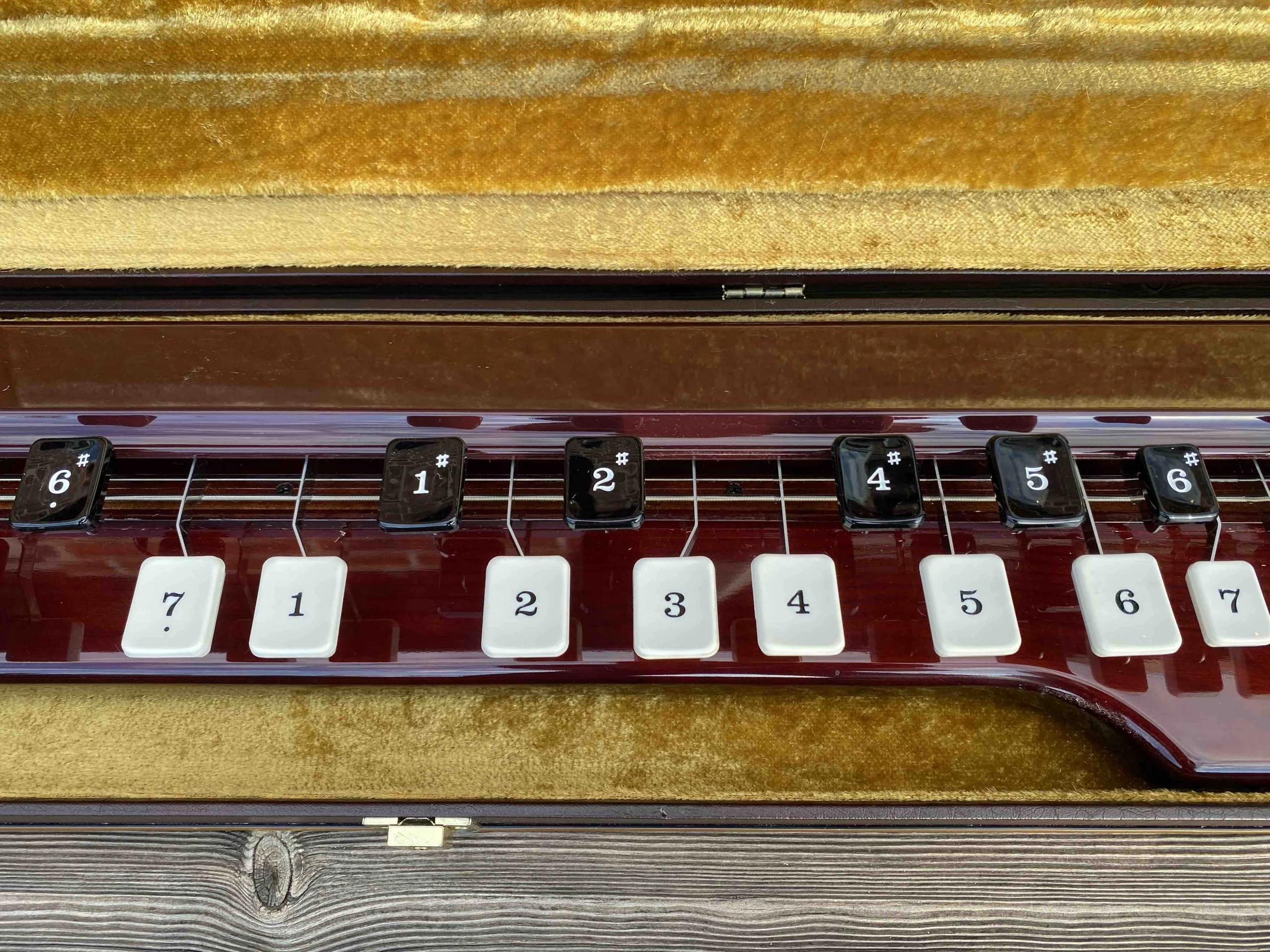 Toy Store: Suzuki Ran Bass Electric Taishogoto (NOS) - Image 4